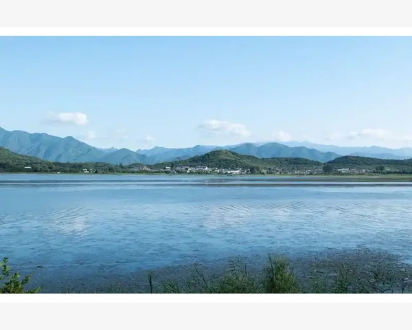 宝宝化痰最快的小妙招