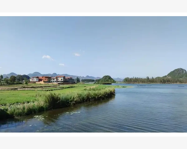 儿童脾虚如何调理？四大食疗方助健康成长