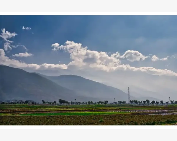宝宝化痰喝热水还是温水？揭秘中医科学的建议
