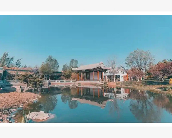 会计从业者未来职业转型与行业新趋势